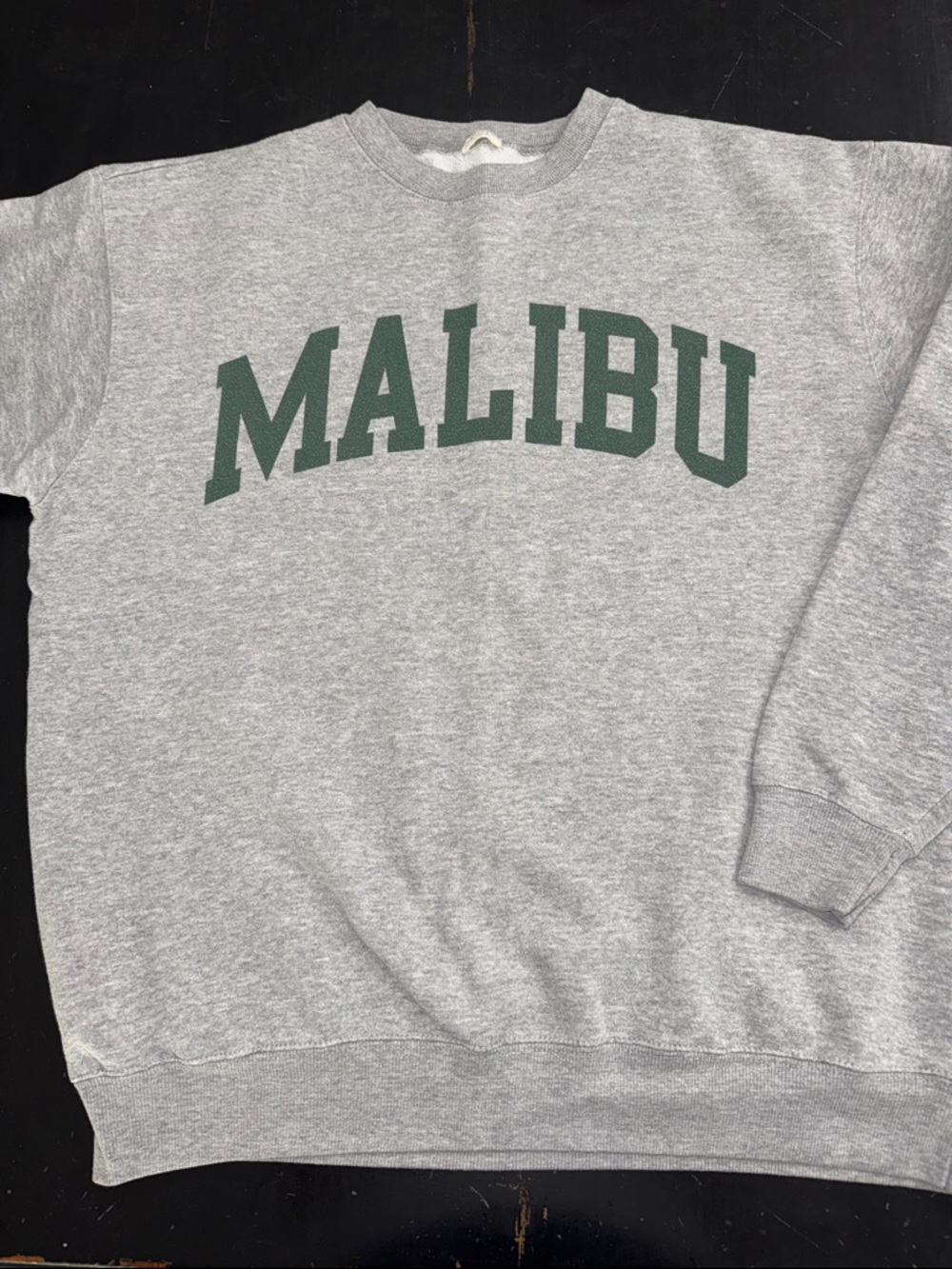 john galt for brandy melville MALIBU gray sweatshirt. one size.